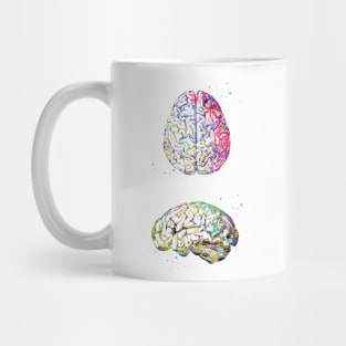 Human Brain Mug